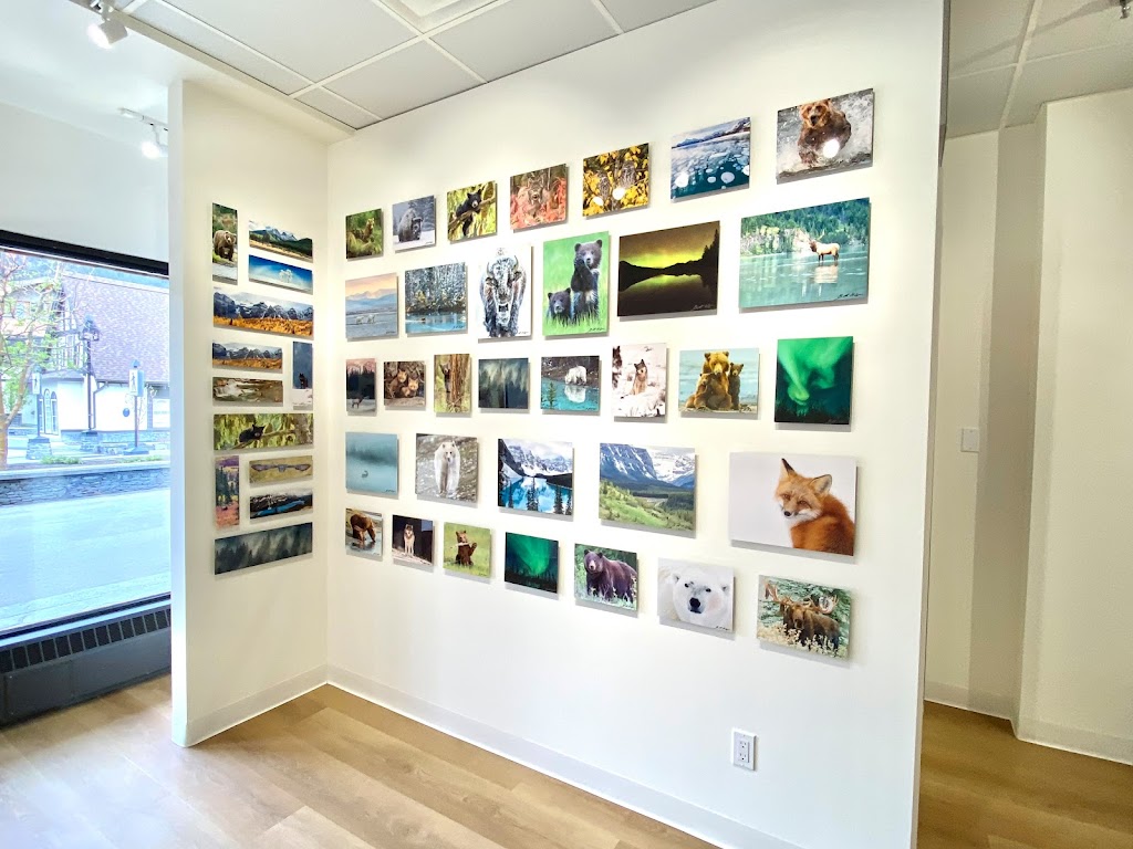 BearHead Photography Gallery-Banff | 201 Lynx St, Banff, AB T1L 1K5, Canada | Phone: (403) 493-9611