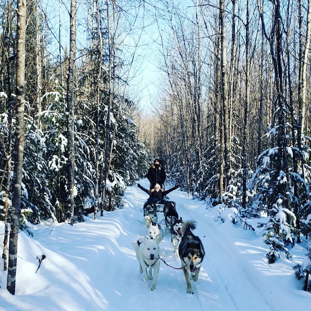 Galeox univers | 1150 chemin des Bêtes Puantes, Trois-Rives, QC G0X 2C0, Canada | Phone: (819) 801-8773