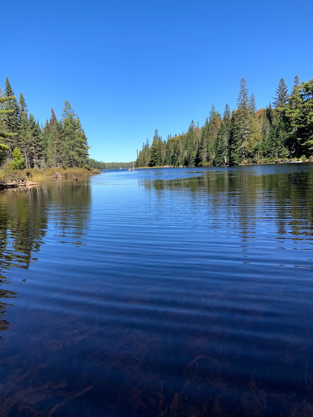 Algonquin Park Adventure Tours | 1023 Cooper Lake Rd, Dwight, ON P0A 1H0, Canada | Phone: (705) 783-7566