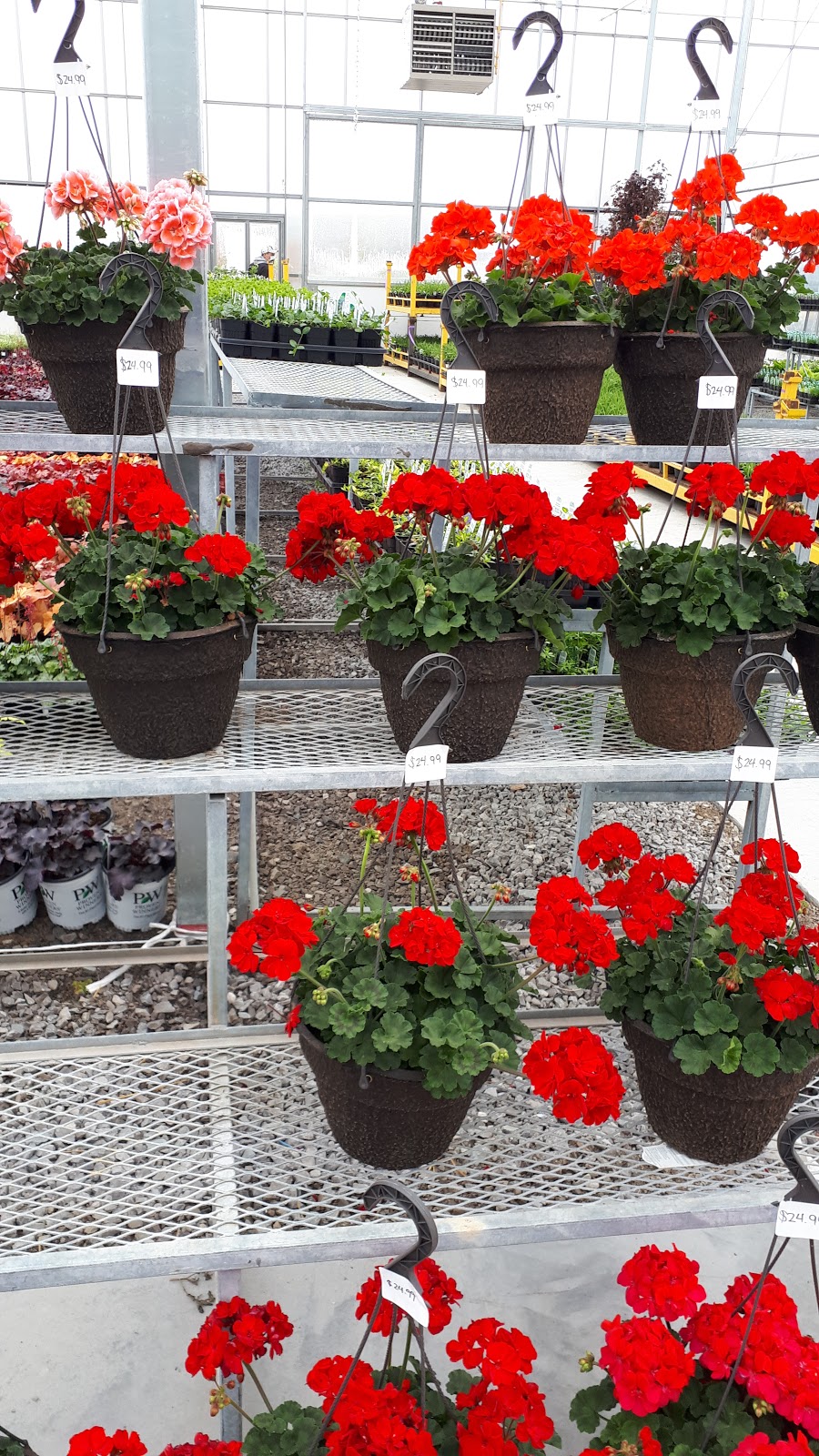 Connon Nurseries | 1870 Davis Dr W, Newmarket, ON L3Y 4V9, Canada | Phone: (289) 803-8088