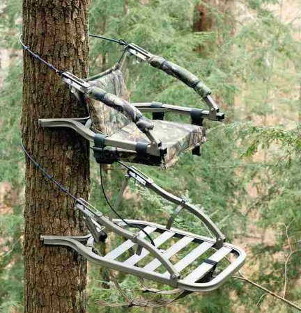 True North Treestands | 6043 4G3, Russell Rd, Ottawa, ON K1B 3W9, Canada | Phone: (855) 486-8868