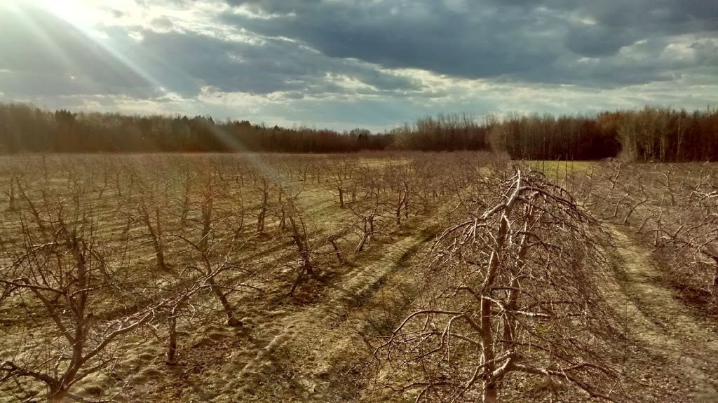 verger François Desroches | 200 Rang de la Montagne, Rougemont, QC J0L 1M0, Canada | Phone: (450) 469-1061