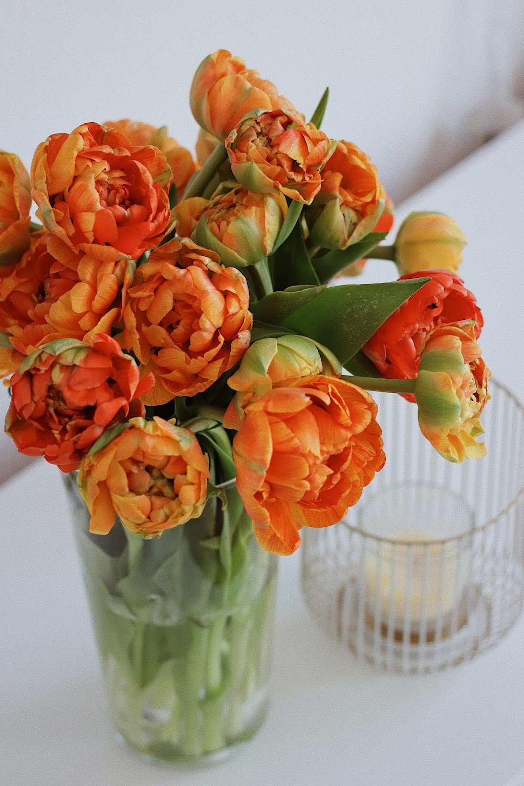 Bloom Deal Flower Subscription | 1393 Pinecliff Rd, Oakville, ON L6M 3Z1, Canada | Phone: (289) 400-5567