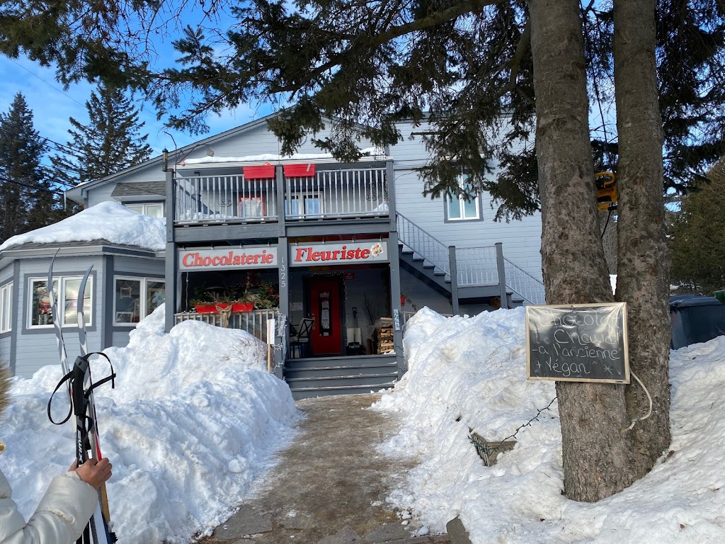 Fleurs Marie-Choco | 1325 Rue de la Sapinière, Val-David, QC J0T 2N0, Canada | Phone: (819) 324-6876