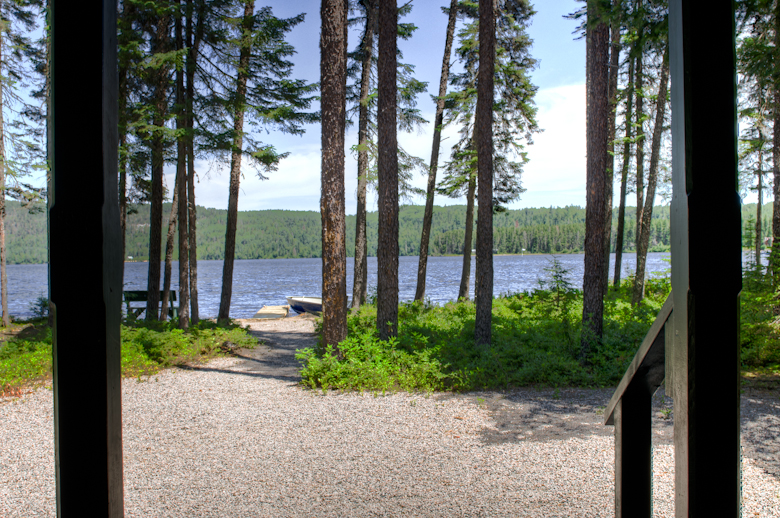 Forest bathing | 1 route Forestière 25 (km 50, La Tuque, QC G9X 3P2, Canada | Phone: (514) 434-4237