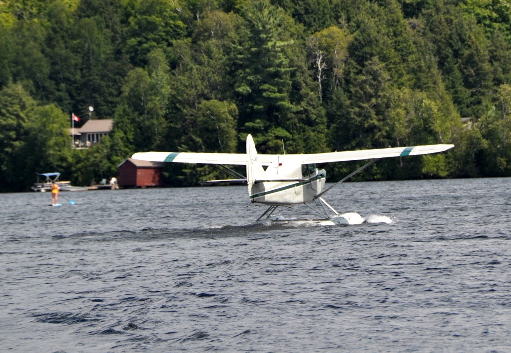 Paudash Lake Marina | 1320 McGillivray Rd, Bancroft, ON K0L 1C0, Canada | Phone: (613) 339-2600