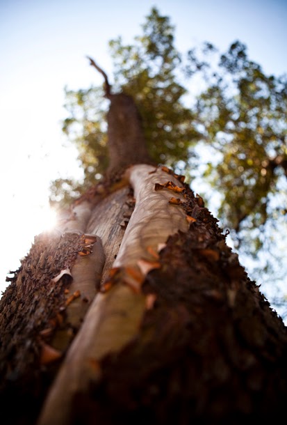 A Happinest A Wellness Retreat | 380 Cranberry Rd, Salt Spring Island, BC V8K 2H2, Canada | Phone: (250) 538-0088