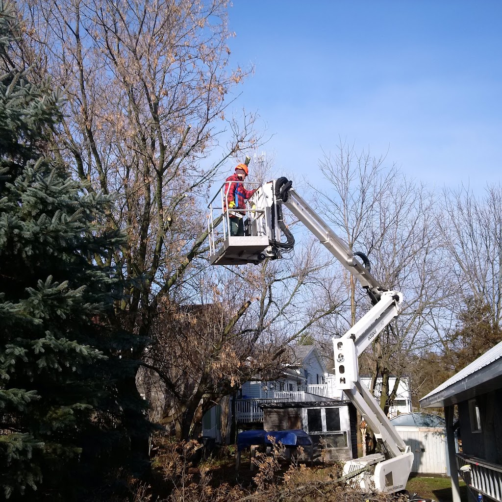 Git-R-Down Tree Service | 178 ON-30, Brighton, ON K0K 1H0, Canada | Phone: (613) 849-8789