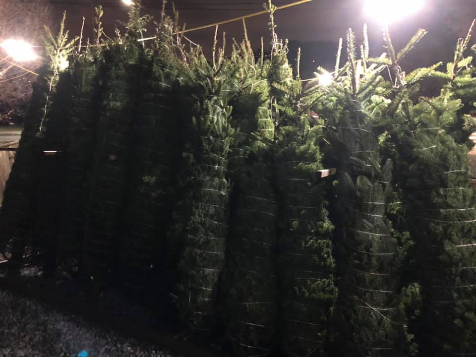 big rig Christmas trees | 3080 Dollarton Hwy, North Vancouver, BC V7H 1B3, Canada | Phone: (604) 499-6991