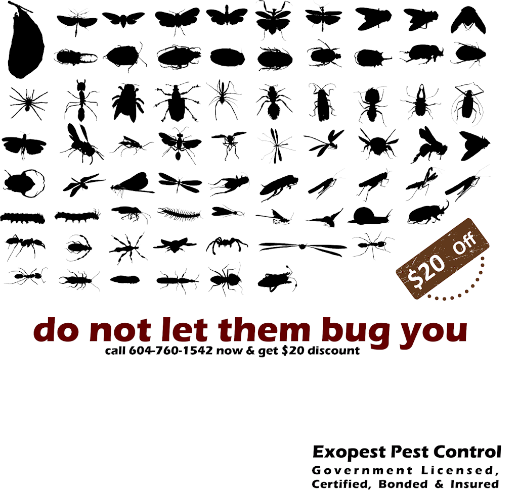 Exopest Pest control | Ph 1,1503 west, W 66th Ave, Vancouver, BC V6P 2R8, Canada | Phone: (604) 760-1542