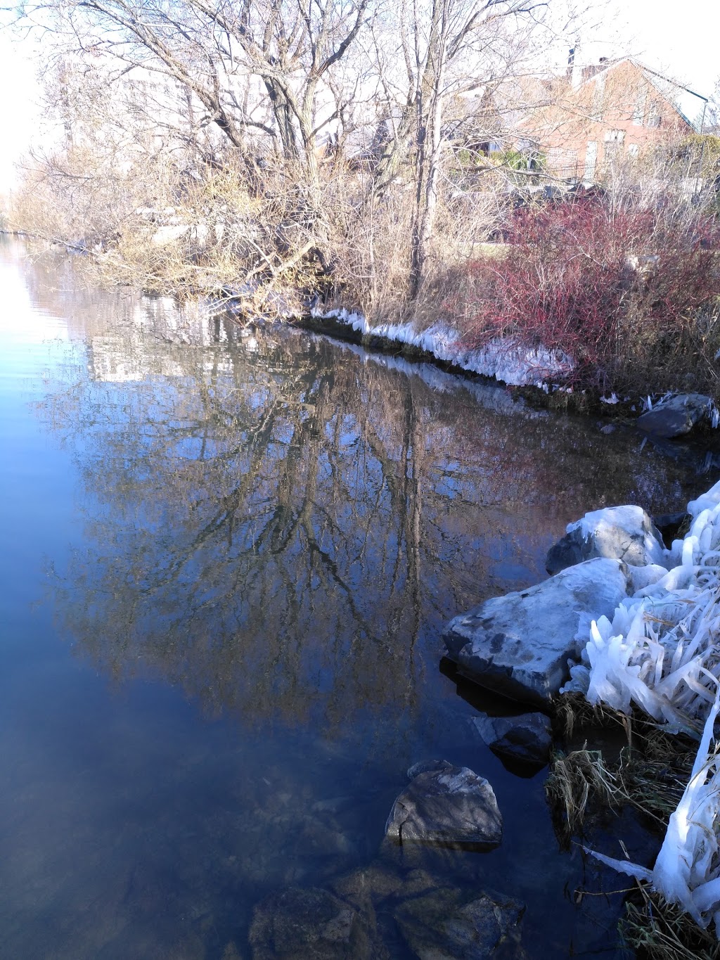 Parc Saint-Laurent | Rue des Saules, Brossard, QC J4X 2X4, Canada