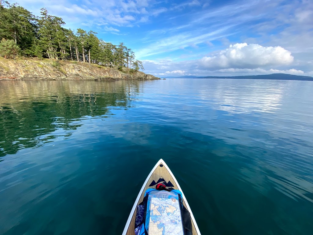 Blue Jellyfish SUP Adventures | 72300 Canoe Cove Rd, North Saanich, BC V8L 3X9, Canada | Phone: (778) 351-2583