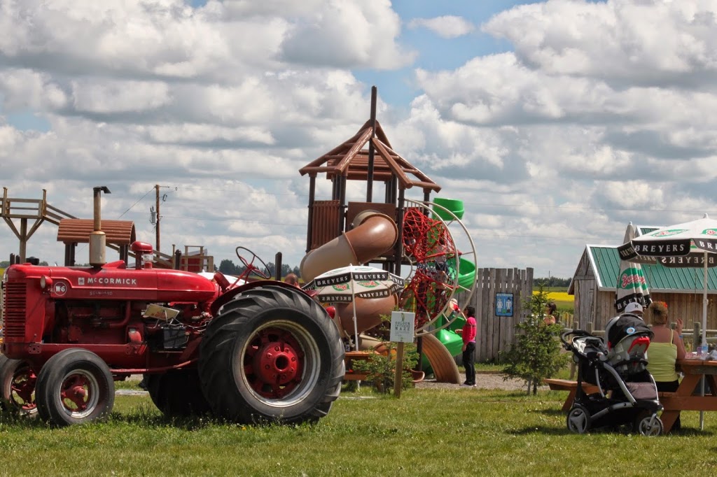 Calgary Corn Maze & Fun Farm | 284022 Township Rd 224, Rocky View No. 44, AB T1X 0J6, Canada | Phone: (403) 648-2719