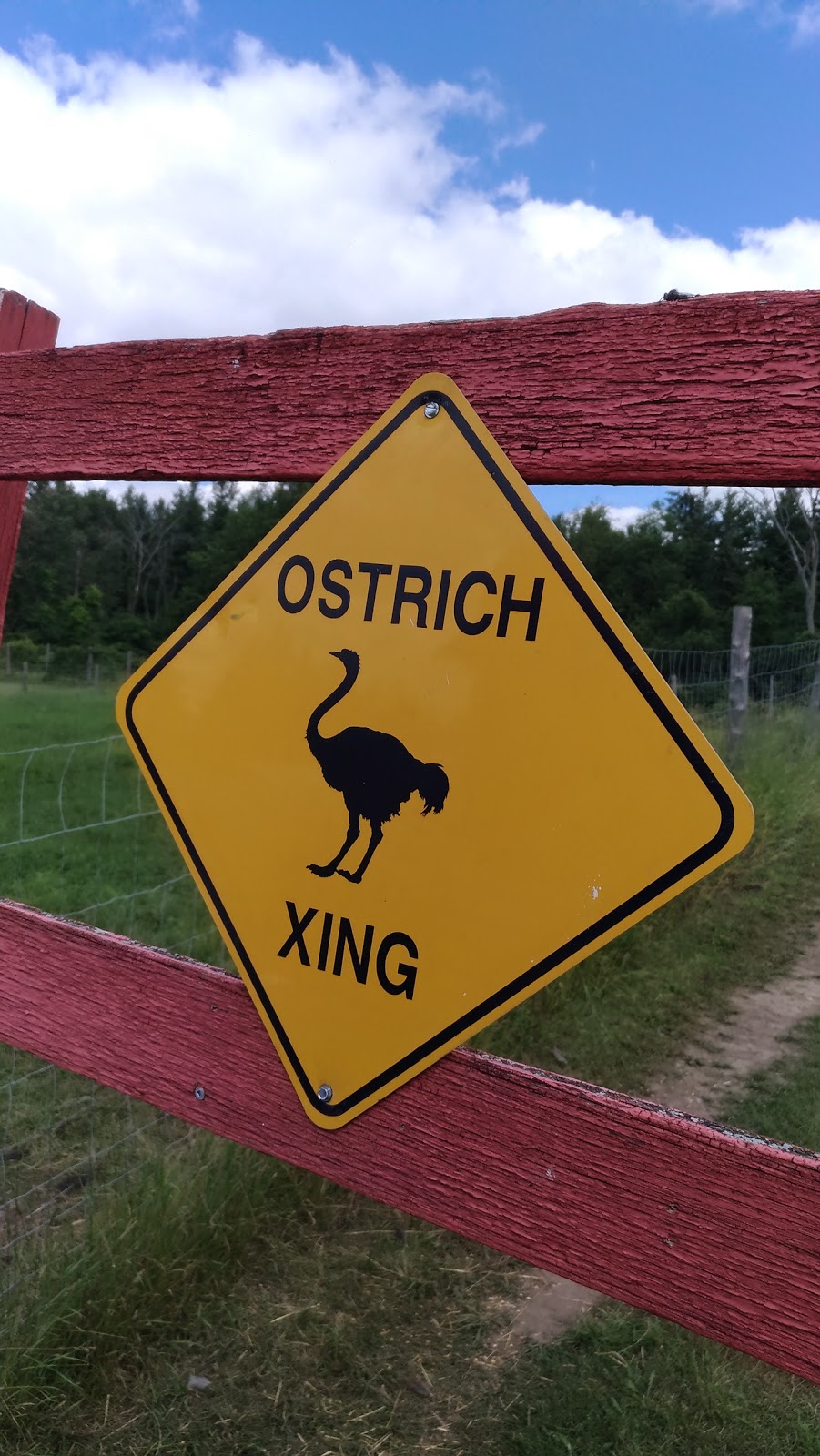 White Rock Ostrich Farm | 13085 Fourth Line Nassagaweya, Campbellville, ON L0P 1B0, Canada | Phone: (519) 856-2629