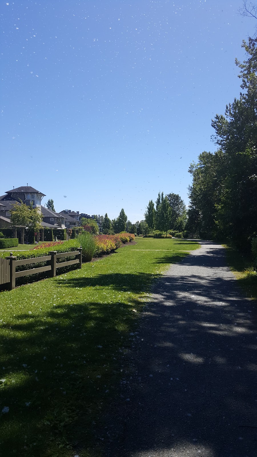 Shoreline Park | 51 Bonson Rd, Pitt Meadows, BC V3Y 0A9, Canada