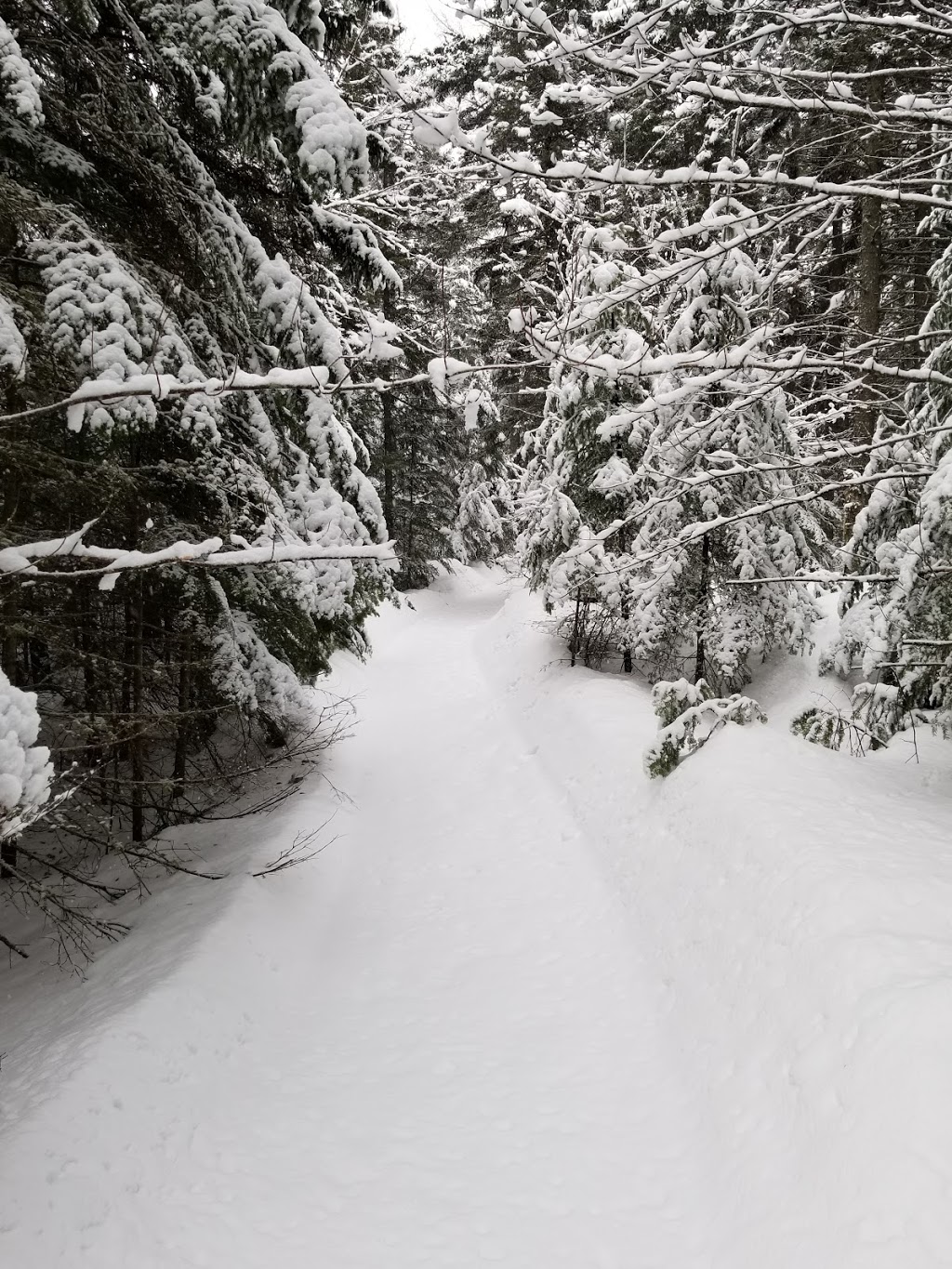 Les Sentiers de LInconnu -Sentiers Hivernaux- | 220 QC-283, Notre-Dame-du-Rosaire, QC G0R 2H0, Canada | Phone: (418) 802-2482