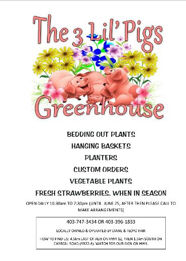 The 3 Lil Pigs Greenhouse | 39302 RR224, Alix, AB T0C 0B0, Canada | Phone: (403) 747-3434