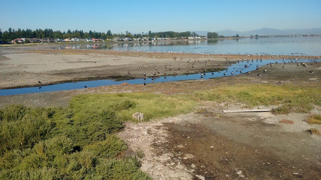 Boundary Bay Regional Park | Boundary Bay Rd, Delta, BC V4L 1N2, Canada | Phone: (604) 520-6442