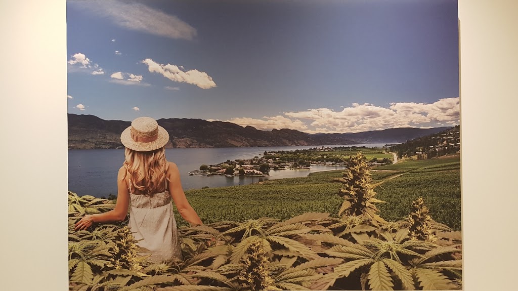 Prime Cannabis West Kelowna | 2528 Main St, West Kelowna, BC V4T 2E3, Canada | Phone: (250) 707-5356