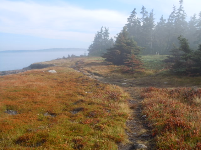 Kingsburg Coastal Conservancy (KCCNS) | Box 2, Site 1A, Kingsburg, NS B0J 2X0, Canada | Phone: (902) 766-4193