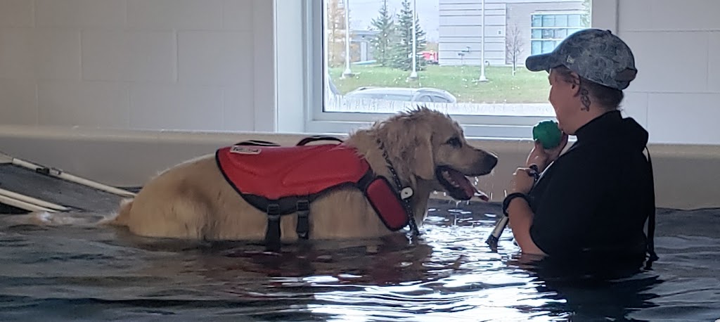 K9 Aquatic Care Centre | 15 Ontario Rd, Walkerton, ON N0G 2V0, Canada | Phone: (519) 901-2858