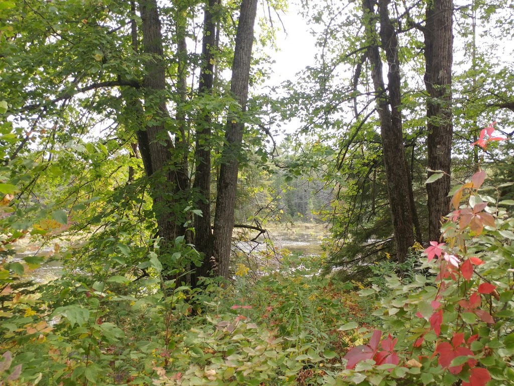 Petroglyphs Visitor Centre - The Learning Place | North Kawartha, ON K0L 2H0, Canada | Phone: (705) 877-2552