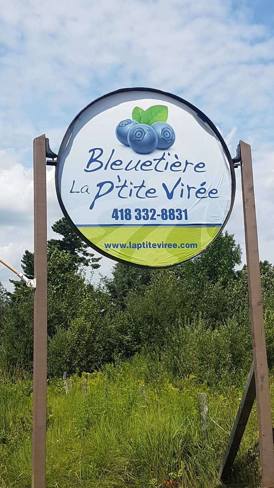 Bleuetière La Ptite Virée | 955 Route Dublin, Inverness, QC G0S 1K0, Canada | Phone: (418) 332-8831