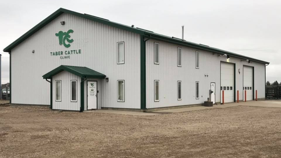 Cattle Health Management Taber | 6303 55 St, Taber, AB T1G 2H4, Canada | Phone: (403) 223-2000