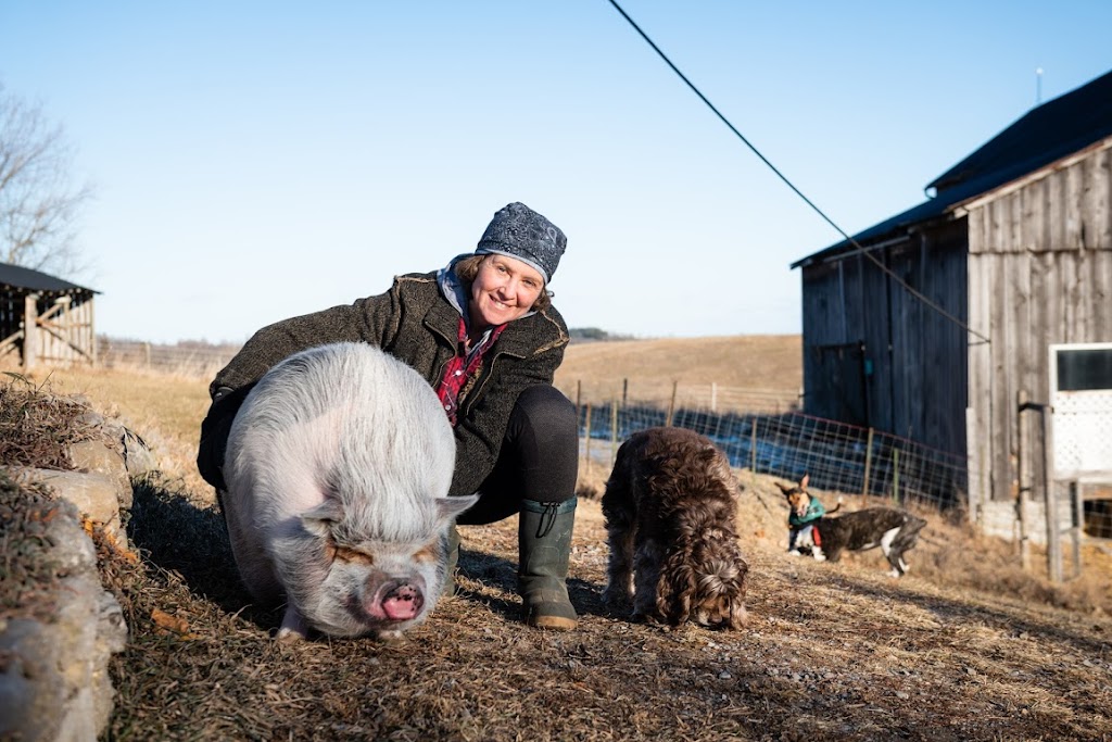 PROMISED LAND ANIMAL SANCTUARY | 1969 Burnbrae Rd E, Campbellford, ON K0L 1L0, Canada | Phone: (705) 977-6897