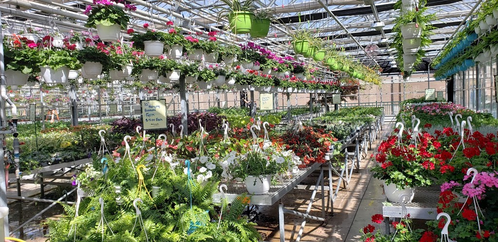 Niagara College Greenhouse Nursery | 135 Taylor Rd, Niagara Falls, ON L2H 0H5, Canada | Phone: (905) 641-2252 ext. 4082