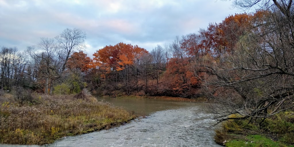 Humber Arboretum | 205 Humber College Blvd, Etobicoke, ON M9W 5L7, Canada | Phone: (416) 675-5009