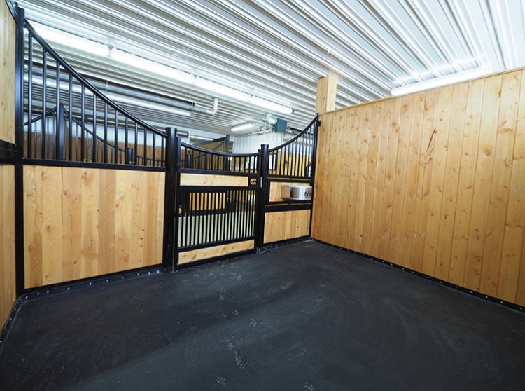 Solaris Equestrian | 26113 Township Rd 514, Spruce Grove, AB T7Y 1B5, Canada | Phone: (780) 544-5867