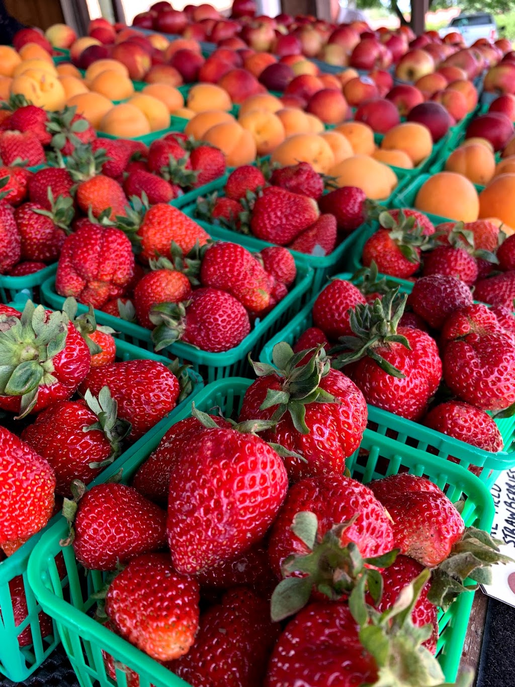 Aziz Fruit Stand and The Wooden Spoon Bakery / Ice Cream Shoppe | 415 Seacliff Dr E, Leamington, ON N8H 3V7, Canada | Phone: (519) 890-3322