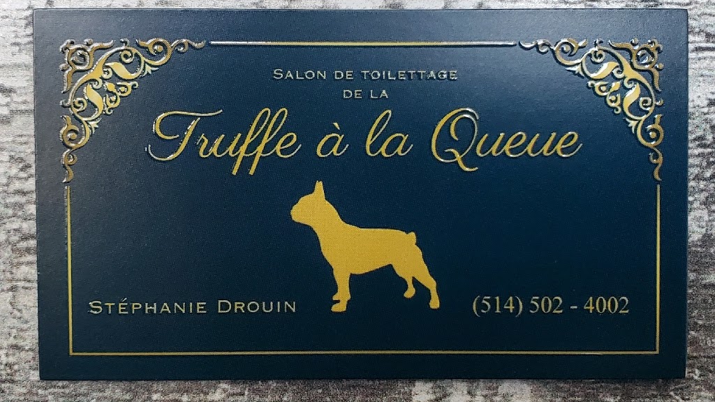 Salon de toilettage de la Truffe à la Queue | 5101 Montée Saint-Hubert, Saint-Hubert, QC J3Y 1V6, Canada | Phone: (514) 502-4002