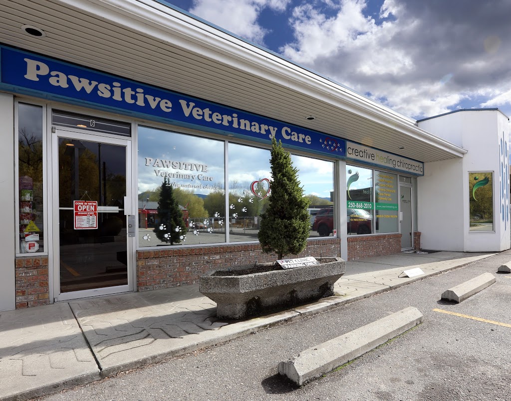 Pawsitive Veterinary Care | 1551 Sutherland Ave, Kelowna, BC V1Y 9M9, Canada | Phone: (250) 862-2727