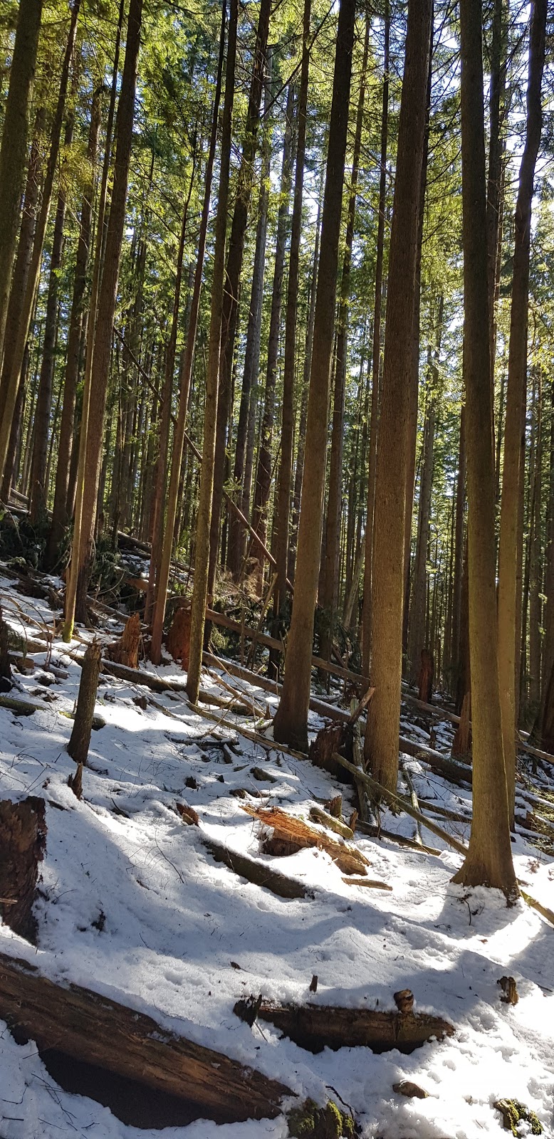 Alouette Mountain Trailhead | Mike Lake Rd, Maple Ridge, BC V0M, Canada