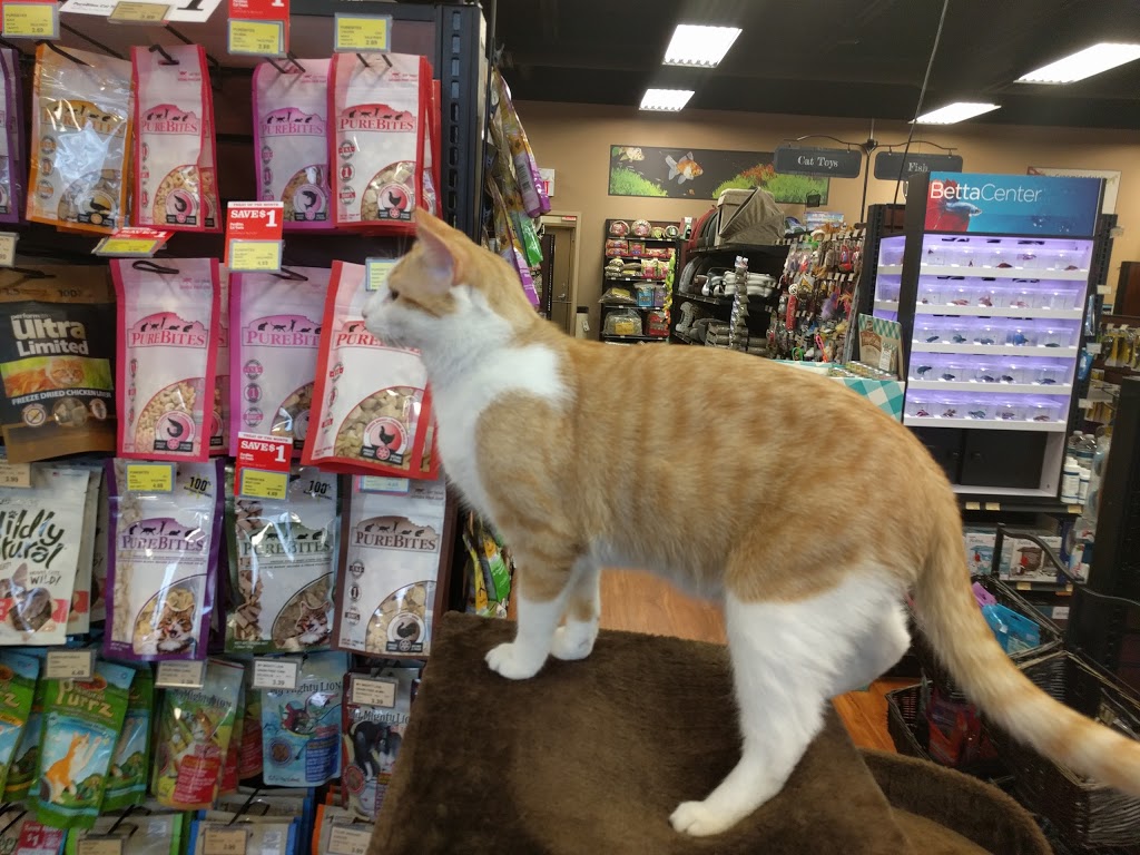 Pet Valu | 1134 Taylor Ave, Winnipeg, MB R3M 3Z4, Canada | Phone: (204) 475-4505