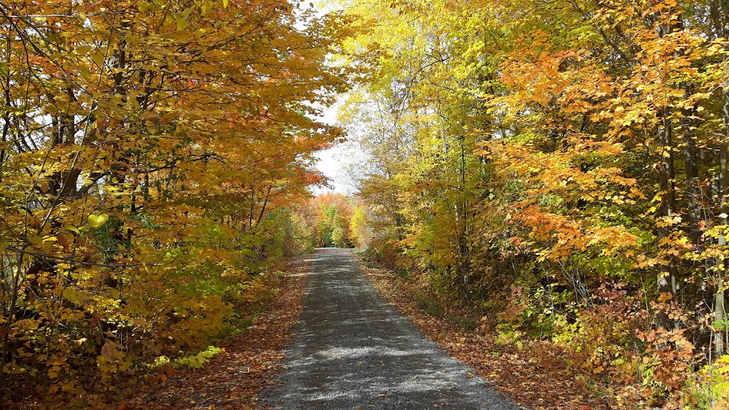 High Lonesome Nature Reserve | 867 Carbine Rd, Pakenham, ON K0A 2X0, Canada | Phone: (613) 253-2722