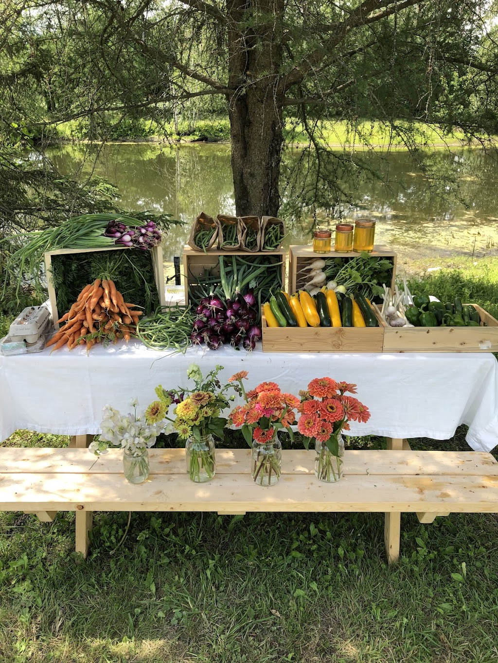 Ferme grandeur nature | 23 5e Rang, Mont-Saint-Grégoire, QC J0J 1K0, Canada | Phone: (514) 245-1689