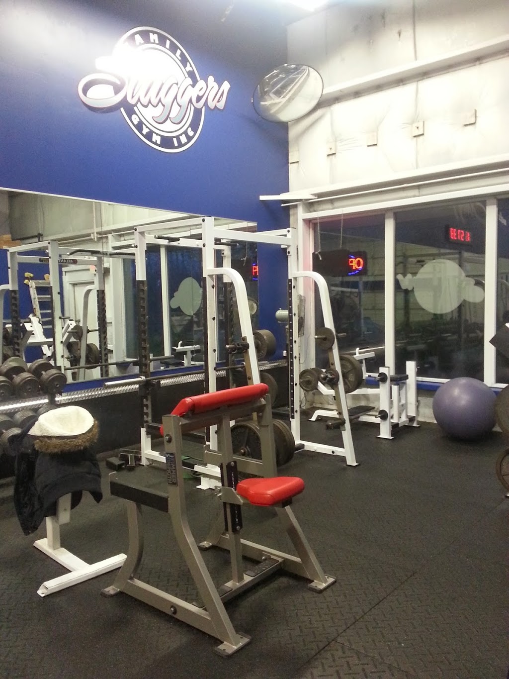 Sluggers Family Gym | 1161 Sunshine Coast Hwy #5, Gibsons, BC V0N 1V2, Canada | Phone: (604) 886-3556