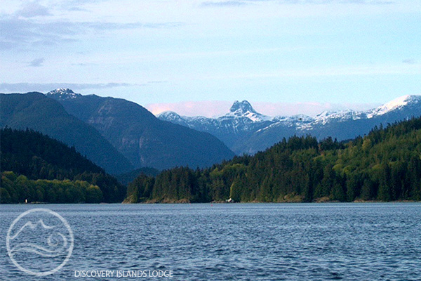 Discovery Islands Lodge | Surge Narrows Rd, Quadra Island, Surge Narrows, BC V0P 1W0, Canada | Phone: (250) 285-2823