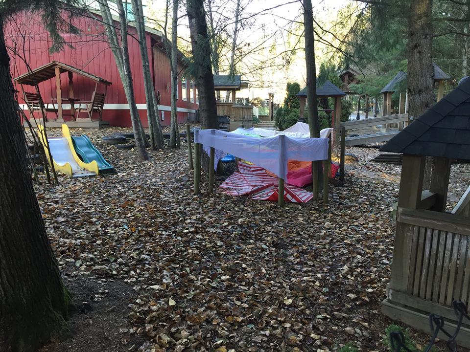 Friendly Forest Preschool Association | 30 Elementary Rd, Anmore, BC V3H 4Y6, Canada | Phone: (604) 469-0438