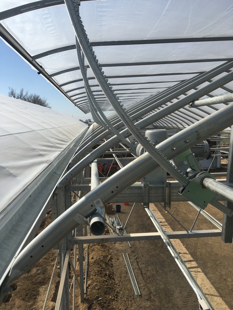 Greenhouse Grower Classifieds | 1634 Seacliff Dr, Kingsville, ON N9Y 2M6, Canada | Phone: (519) 322-1072