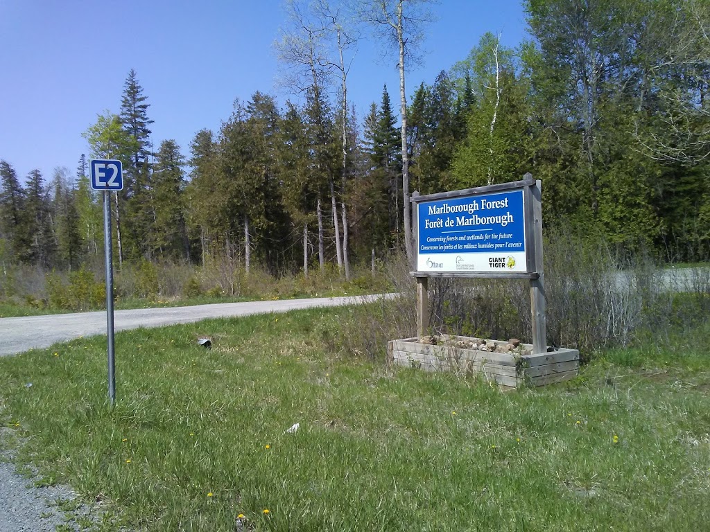 Marlborough Forest Parking - E2 | 3801 Roger Stevens Dr, North Gower, ON K0A 2T0, Canada