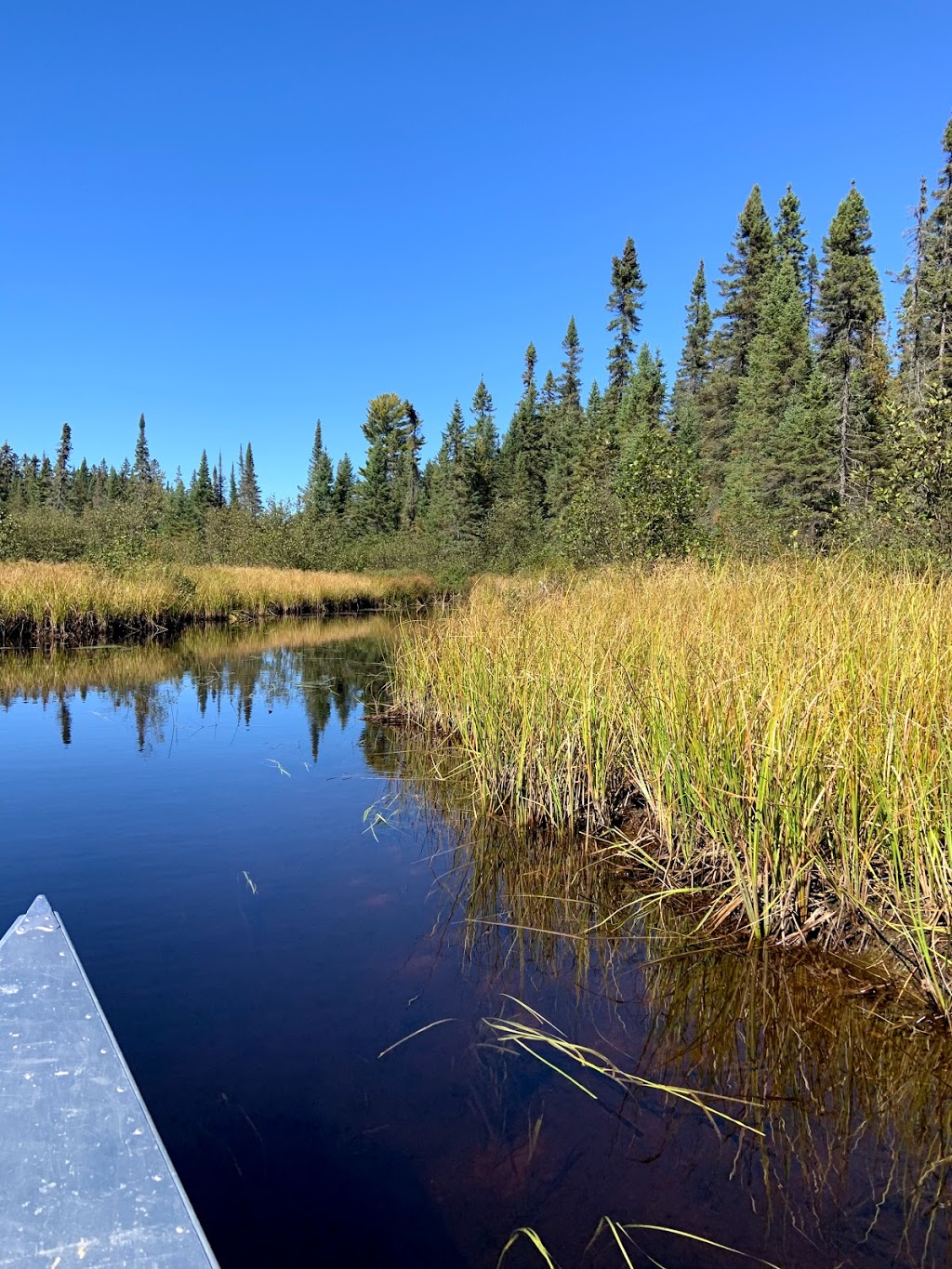 Algonquin Park Adventure Tours | 1023 Cooper Lake Rd, Dwight, ON P0A 1H0, Canada | Phone: (705) 783-7566