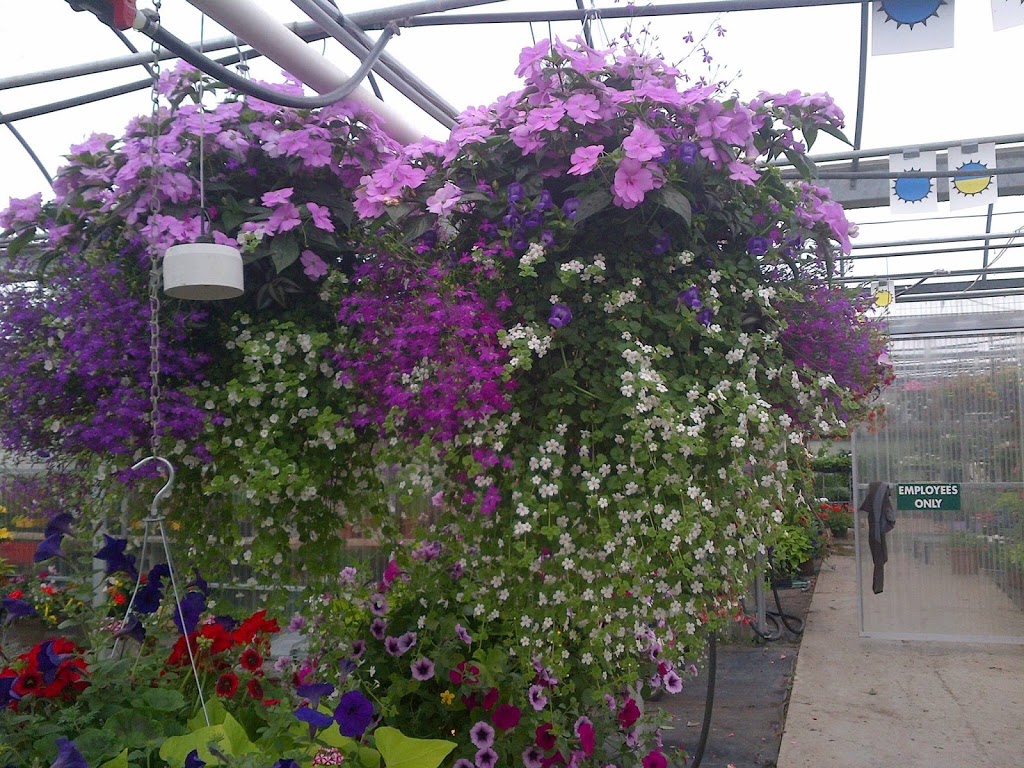 Riverside Greenhouses | 727266 Sideroad 22C, Heathcote, ON N0H 1N0, Canada | Phone: (519) 599-3533