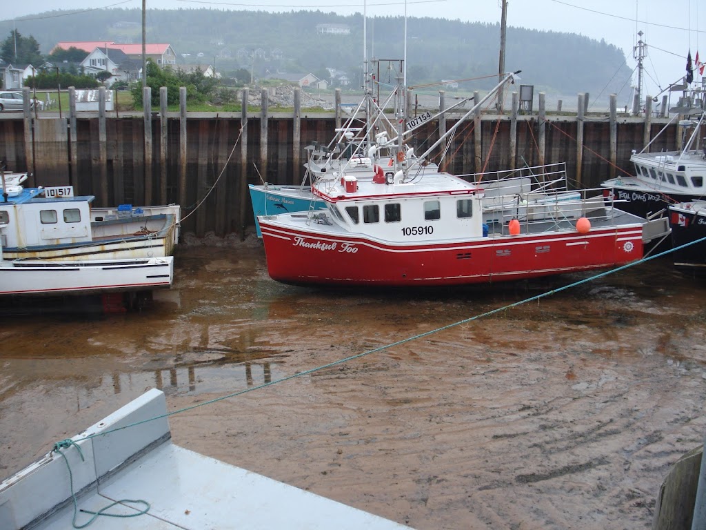 Collins Lobster Shop | 20 Ocean Dr, Alma, NB E4H 1J6, Canada | Phone: (506) 887-2054