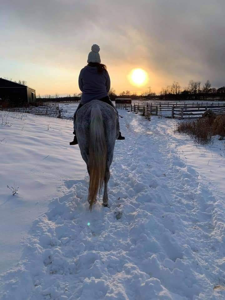 Reindance Equestrian Centre | 5506 Blind Line, Burlington, ON L7P 0B2, Canada | Phone: (905) 330-1190