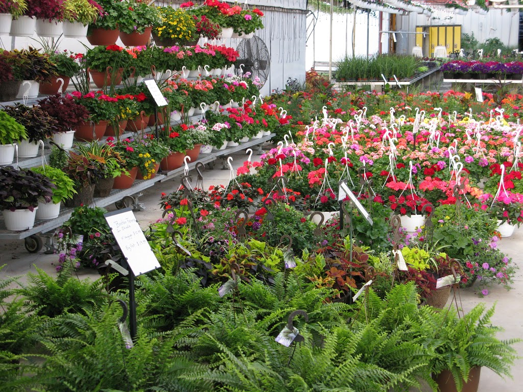 Ittens Flowers | 31829 Hwy#3, Wainfleet, ON L0S 1V0, Canada | Phone: (905) 899-1938