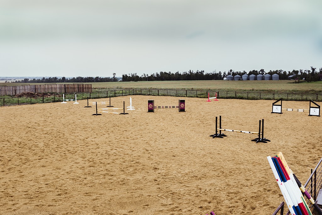 Ten Equestrian | 53524 Range Rd 263A, Alberta T8T 1G8, Canada | Phone: (780) 905-3725